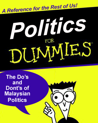 politics for dummies
